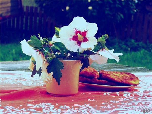 最火正能量句子