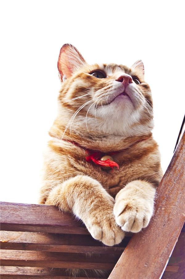 致自己生活努力奋斗的句子，很燃很励志