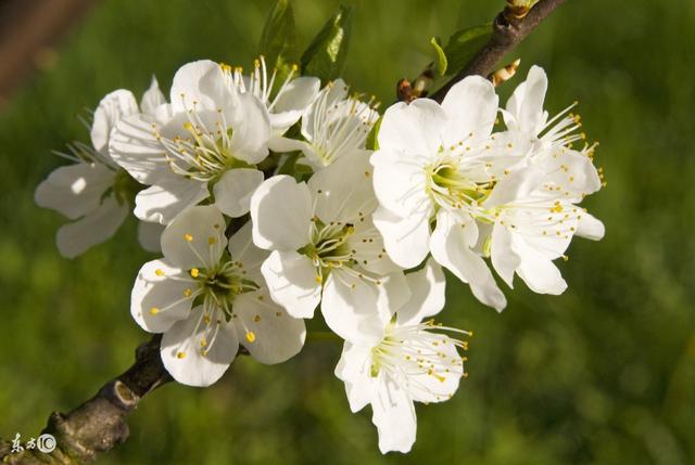 彩虹励志简短句子