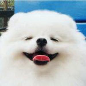 励志俏皮句子正能量