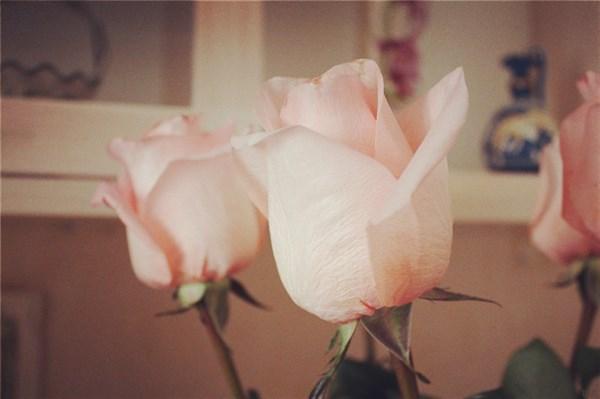 经典励志的句子大全