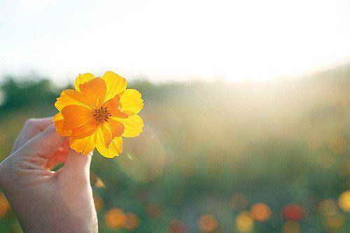 唯美的句子说说心情英文(唯美的句子 励志)