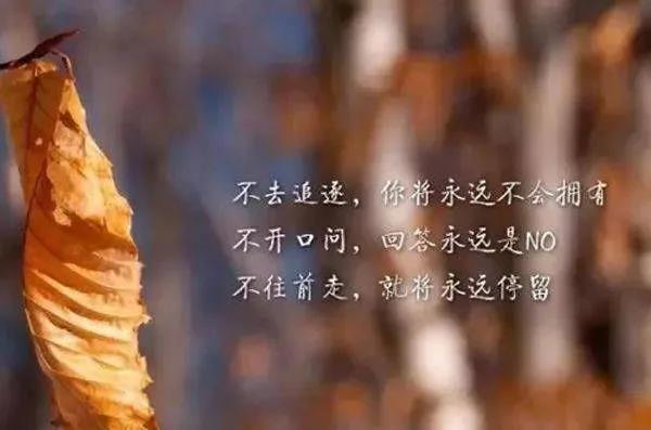 找到目标的励志短句(励志语录经典短句2020)