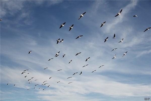 关于青春的六字句子