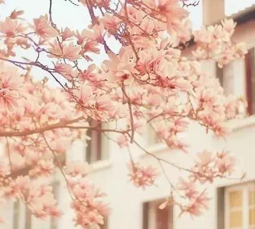 好句好段摘抄大全10字