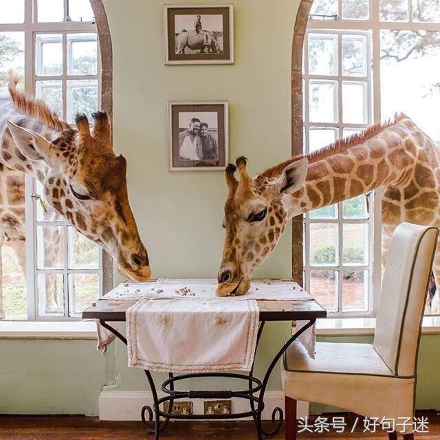 朋友圈干净简短好句子