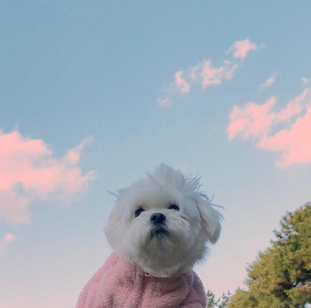 致拼搏励志的句子