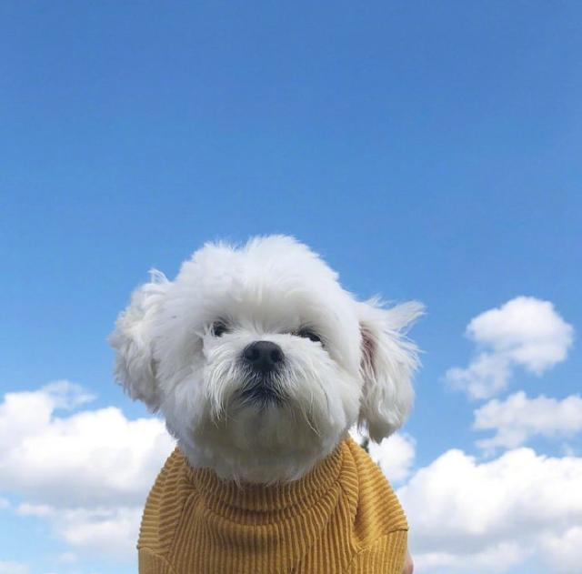 致拼搏励志的句子