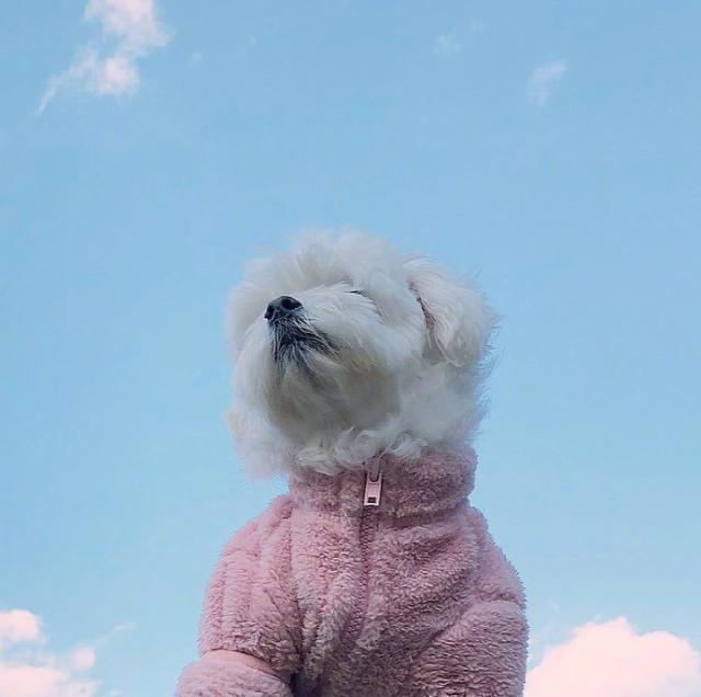 致拼搏励志的句子