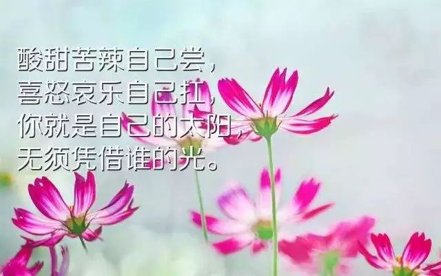 激励上进正能量句子学生_(激励努力上进的图片)