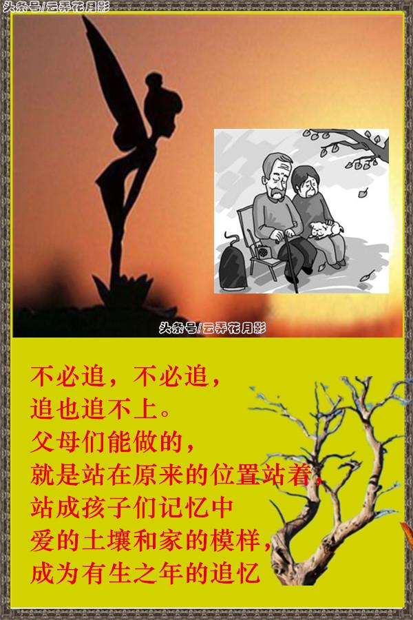 孩子与父母缘分唯美句子(一起共事是缘分的句子)