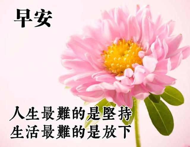 早安初夏温馨句子图片大全