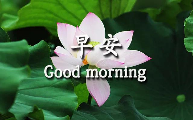 早上好的温馨句子 朋友圈开心 早上好的温馨句子 朋友圈开心