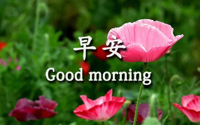 早上好的温馨句子 朋友圈开心 早上好的温馨句子 朋友圈开心
