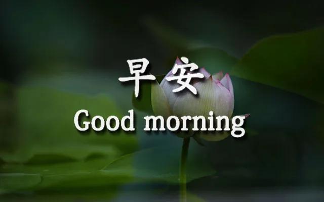 早上好的温馨句子 朋友圈开心 早上好的温馨句子 朋友圈开心