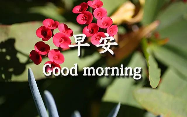 早上好的温馨句子 朋友圈开心 早上好的温馨句子 朋友圈开心