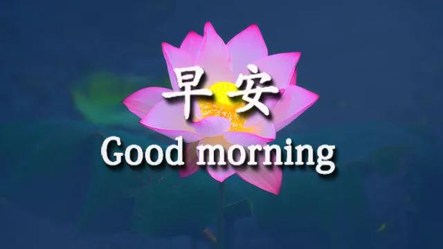 早上好的温馨句子 朋友圈开心 早上好的温馨句子 朋友圈开心
