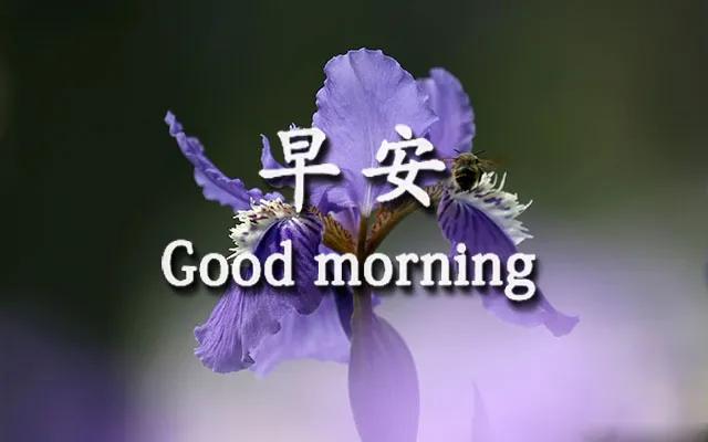 早上好的温馨句子 朋友圈开心 早上好的温馨句子 朋友圈开心