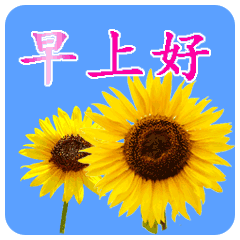 早上好的温馨幽默问候句子(2) 早上好的温馨幽默问候句子(2)