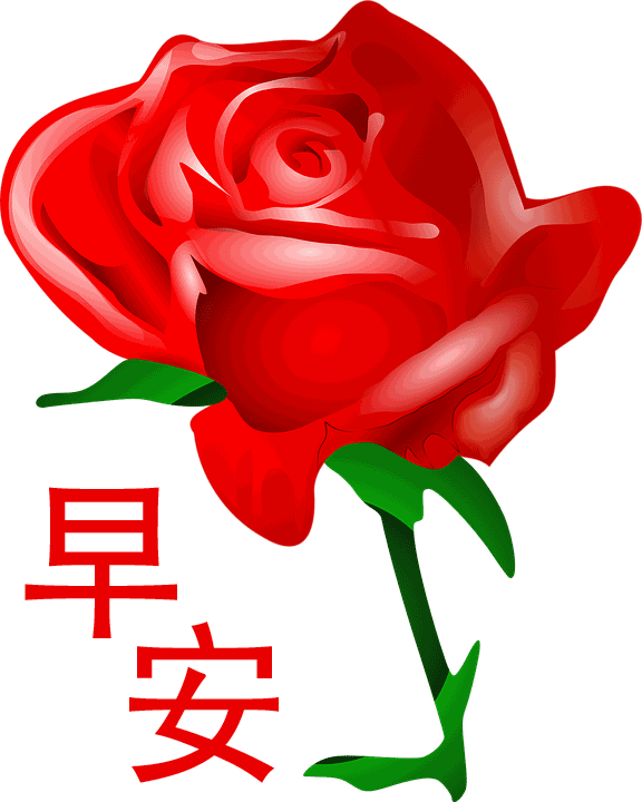 温暖早安温馨问候句子 温暖早安温馨问候句子