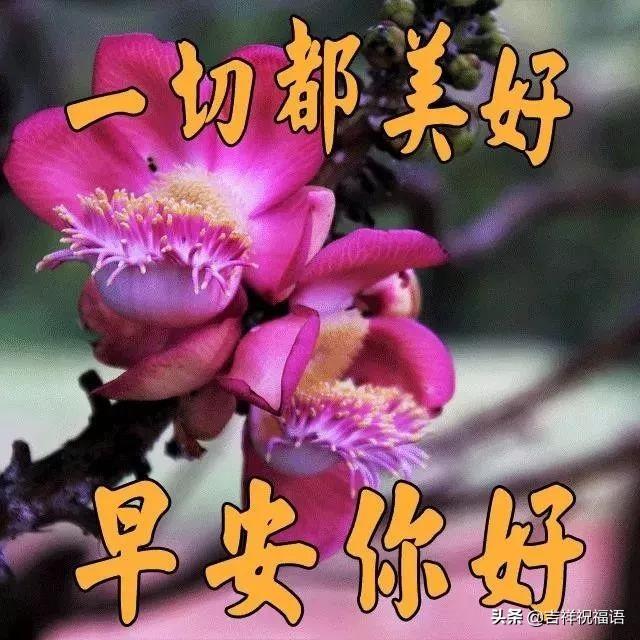 温暖早安温馨问候句子 温暖早安温馨问候句子