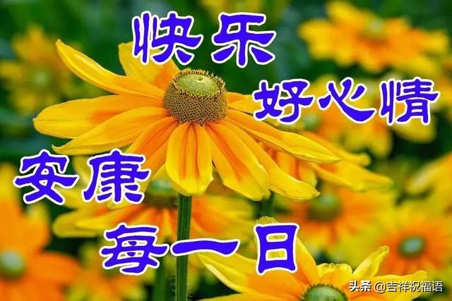 温暖早安温馨问候句子 温暖早安温馨问候句子