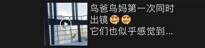 表示场面和谐温馨的优美句子 表示场面和谐温馨的优美句子
