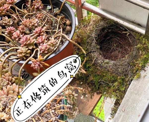 表示场面和谐温馨的优美句子 表示场面和谐温馨的优美句子