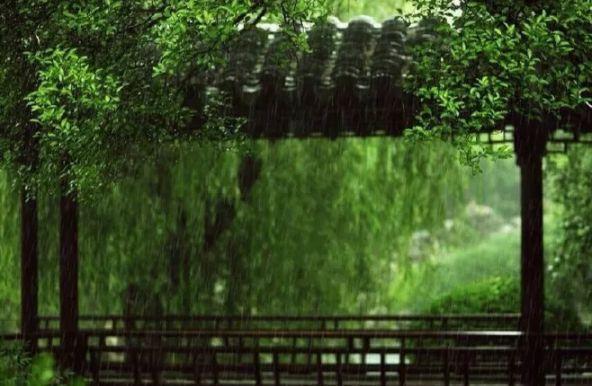 听雨诗句唯美的句子(冬天雨夜听雨唯美句子)