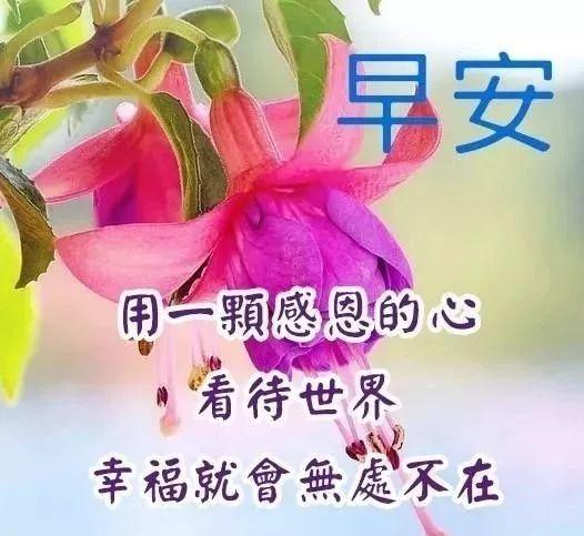 早上下雨发朋友圈温馨的句子 早上下雨发朋友圈温馨的句子