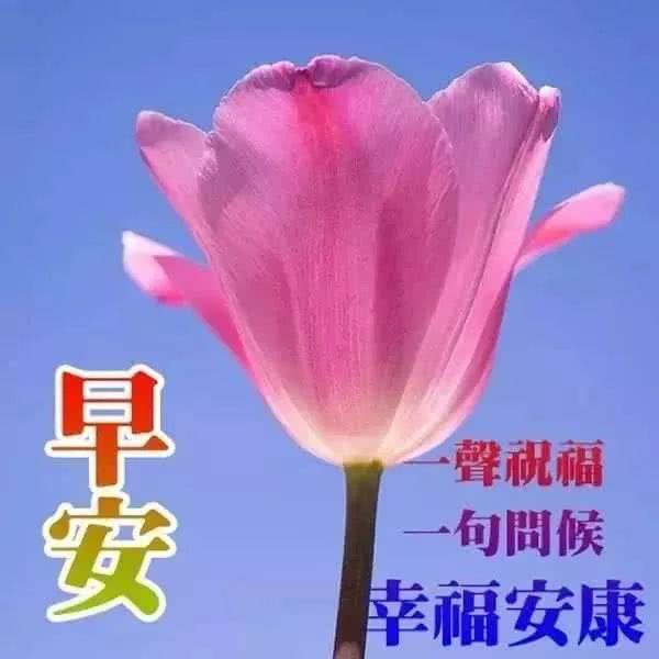 早上下雨发朋友圈温馨的句子 早上下雨发朋友圈温馨的句子