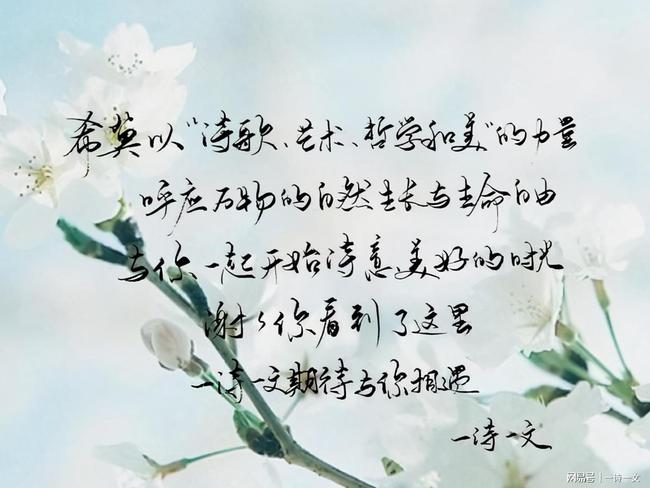 描写小屋温馨的句子(表达自己的小窝的句子)