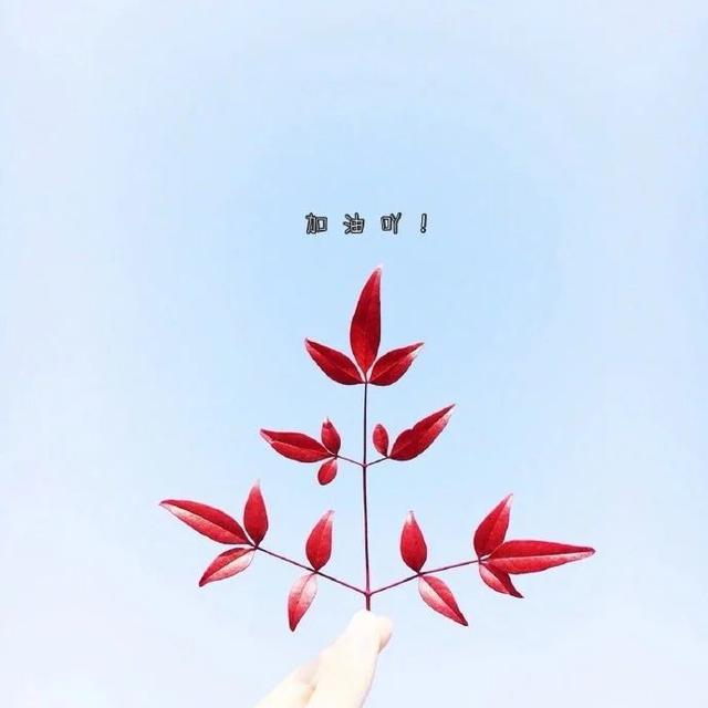 晚安温馨句子图片大全配图 晚安温馨句子图片大全配图