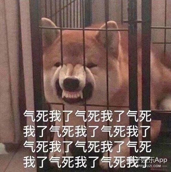 闺蜜生日又损又温馨的句子 闺蜜生日又损又温馨的句子