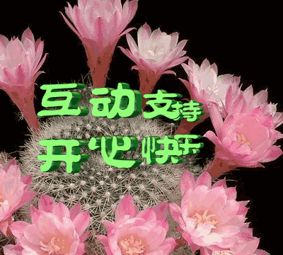 家不要大温馨就好短句子 家不要大温馨就好短句子