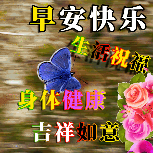 家不要大温馨就好短句子 家不要大温馨就好短句子