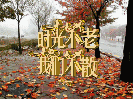 家不要大温馨就好短句子 家不要大温馨就好短句子