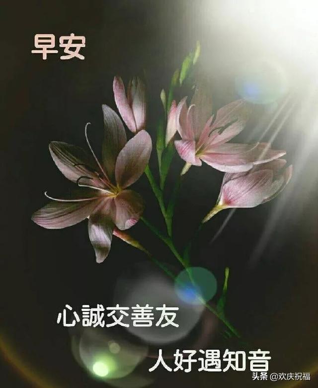 早上好的温馨句子短语 早上好的温馨句子短语