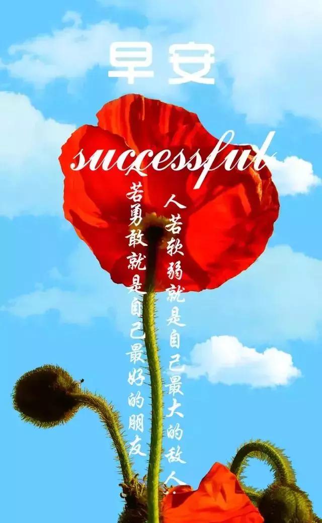 早安正能量温馨句子 早安正能量温馨句子