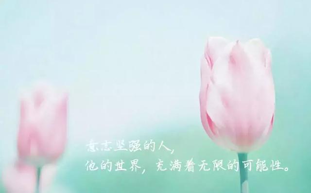 早安正能量温馨句子 早安正能量温馨句子