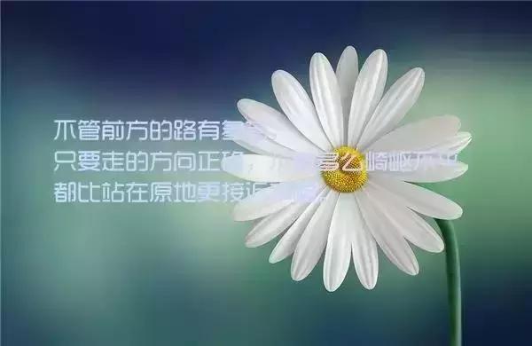 早安正能量温馨句子 早安正能量温馨句子