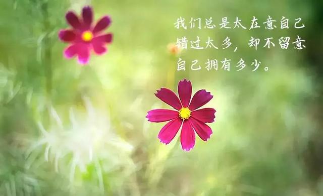 早安正能量温馨句子 早安正能量温馨句子
