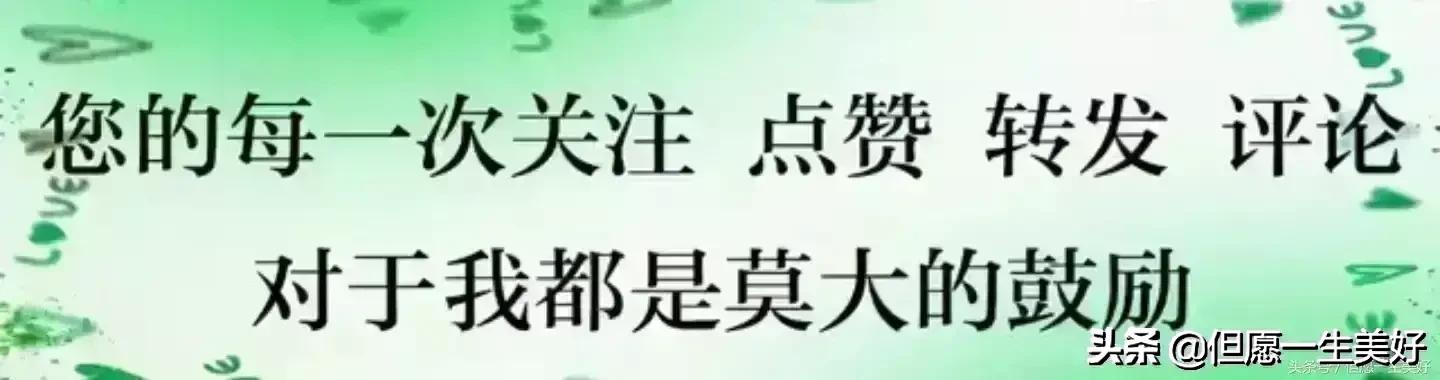 老伴温馨的句子(照顾老人的句子)