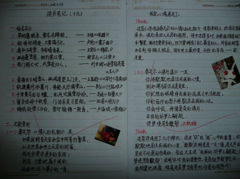 读书好句子摘抄大全_(关于读书的美文摘抄)