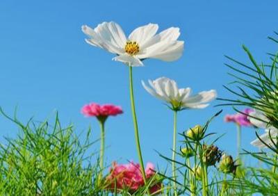晚上逛公园的温馨句子 晚上逛公园的温馨句子