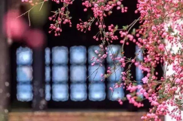 形容家里花香满屋温馨的句子 形容家里花香满屋温馨的句子