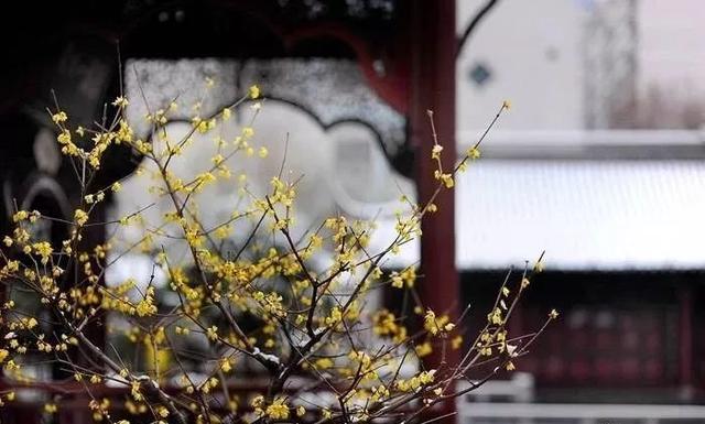 形容家里花香满屋温馨的句子 形容家里花香满屋温馨的句子