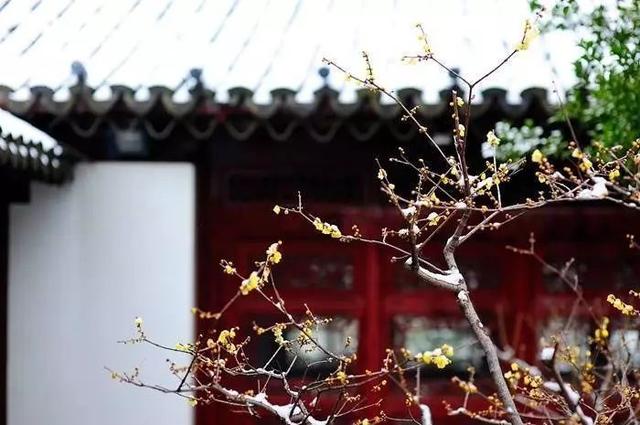 形容家里花香满屋温馨的句子 形容家里花香满屋温馨的句子