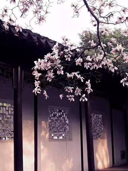 形容家里花香满屋温馨的句子 形容家里花香满屋温馨的句子