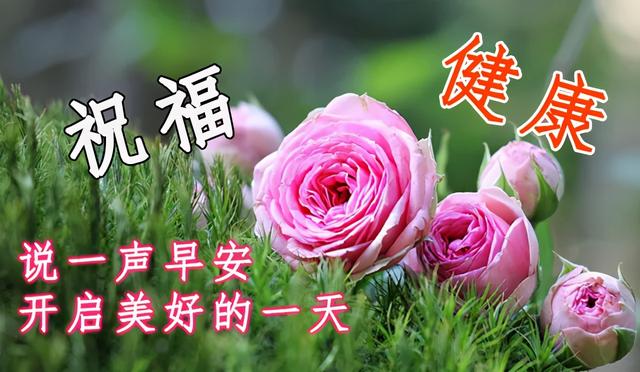 温馨句子朋友圈小朋友 温馨句子朋友圈小朋友